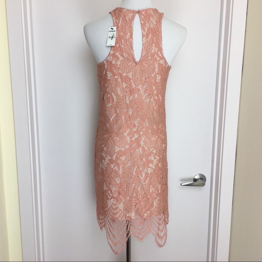NWT Express Floral Lace Contrast Sheath Dress - Picture 2 of 7